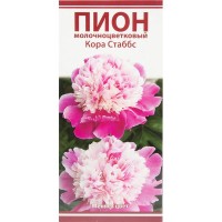 Пион молочноцветковый «Кора Стаббс», размер луковицы I