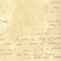Обои бумажные York Wallcoverings Tonal Resource черные NL1334 0.68 м