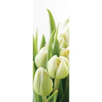 Фотообои Wallberry Decocode 11-0160-FG 100х280 см