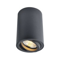 Светильник точечный накладной Arte Lamp Sentry A1560PL-1BK
