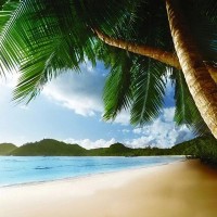Фотообои Wallberry Decocode 31-0115-PG 300х280 см