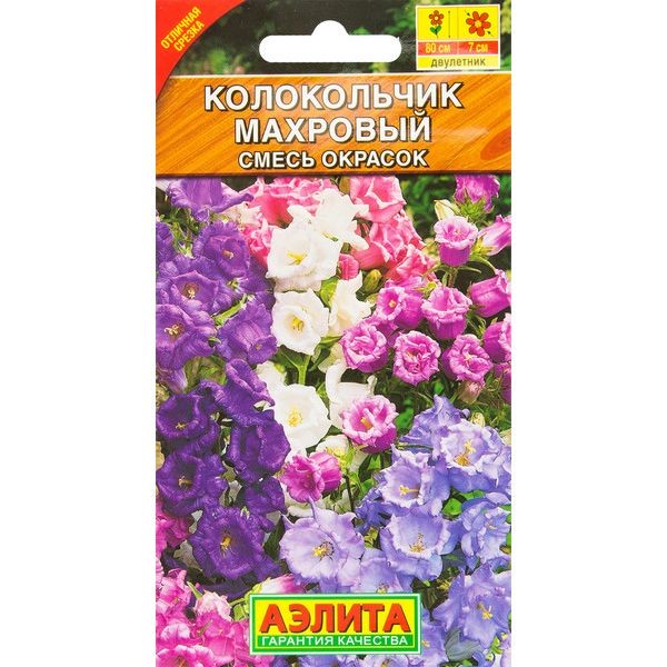 Колокольчик средний махровый смесь окрасок