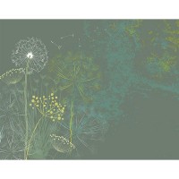 Фотообои WonderWall 230 356х280см