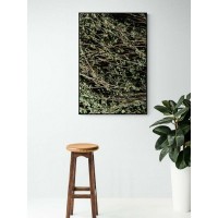 Плакат "34;Просто Постер "34; Веточки тимьяна 90x120 в подарочном тубусе 540461645251