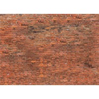 Фотообои WonderWall Красный кирпич 158 280х389см
