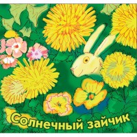 Набор семян «Солнечный зайчик» 16 сортов