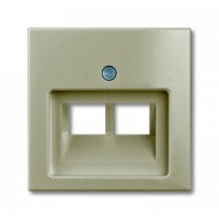 Накладка для компьютерной/телефонной розетки ABB Basic 55 2-я, наклонная, цвет шампань