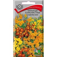 Семена Бархатцы тонколистные «Старфайер Микс»