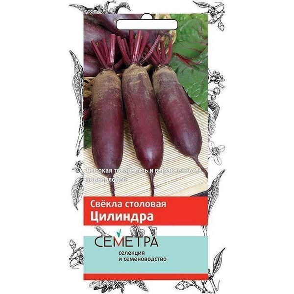 Семена Свекла столовая «Цилиндра»