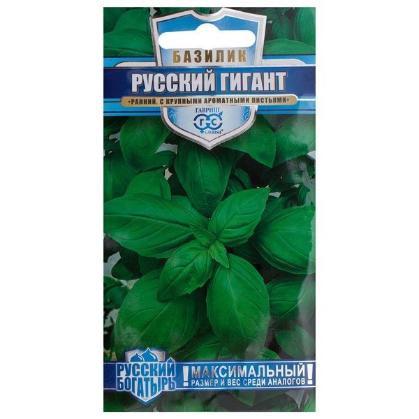 Семена Базилик зелёный «Русский гигант»