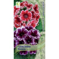 Семена Глоксиния «Жизель»