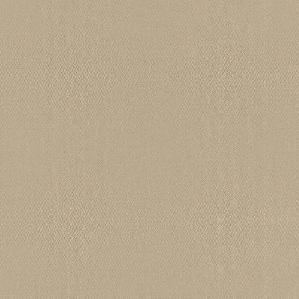 Обои флизелиновые Rasch Poetry коричневые 0.53 м 424096