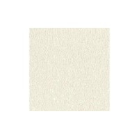 Обои флизелиновые Rasch Filigrano бежевые 1.06 м 964806