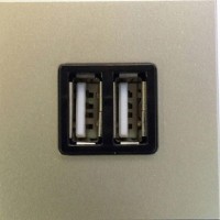 Розетка USB встраиваемая ABB Zenit, цвет шампань
