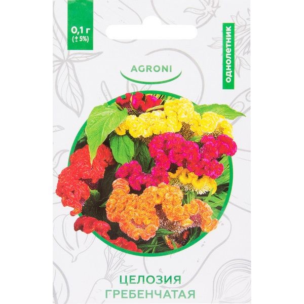 Целозия гребенчатая XS