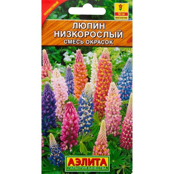 Люпин низкорослый смесь окрасок