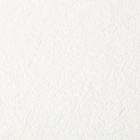 Обои флизелиновые Home Color Colorist белые 426-01 1.06 м