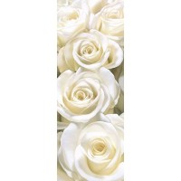 Фотообои DeliceDecor Элегия Ф 210 100х270 см