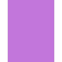 Декоративная самоклеящаяся пленка Color Decor Пленка цветная самоклеющиеся 2018х24 (0.45)