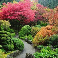 Фотообои Wallberry Decocode 31-0171-PG 300х280 см