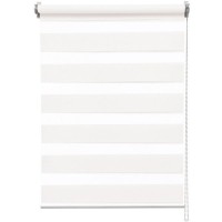 Штора рулонная день-ночь Inspire Siberia White 50x175 см белая