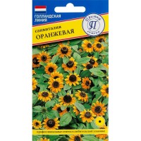Санвиталия оранжевая