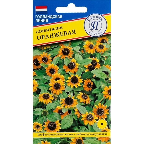 Санвиталия оранжевая