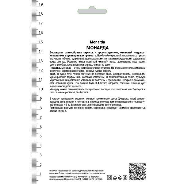 Монарда гибридная «Шнеевитхен», 1 шт.