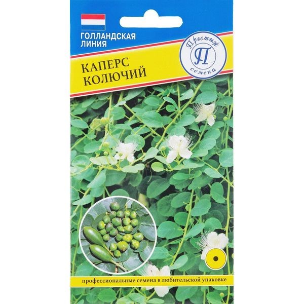 Семена Каперс «Колючий»