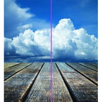 Фотообои WonderWall Старое дерево 283 258х280см
