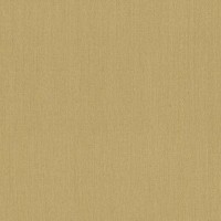 Обои флизелиновые Rasch Mandalay коричневые 0.53 м 528558