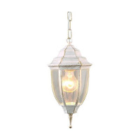 Светильник уличный Arte Lamp Pegasus A3151SO-1WG IP44