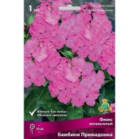 Флокс метельчатый Бамбини Примадонна луковица I