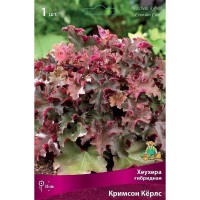Гейхера гибридная Кримсон Кёрлс луковица I