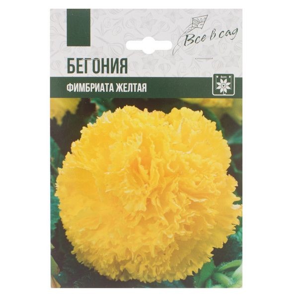 Бегония «Фимбриата», цвет жёлтый