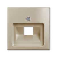 Накладка для компьютерной/телефонной розетки ABB Basic 55 1-я, наклонная, цвет шампань
