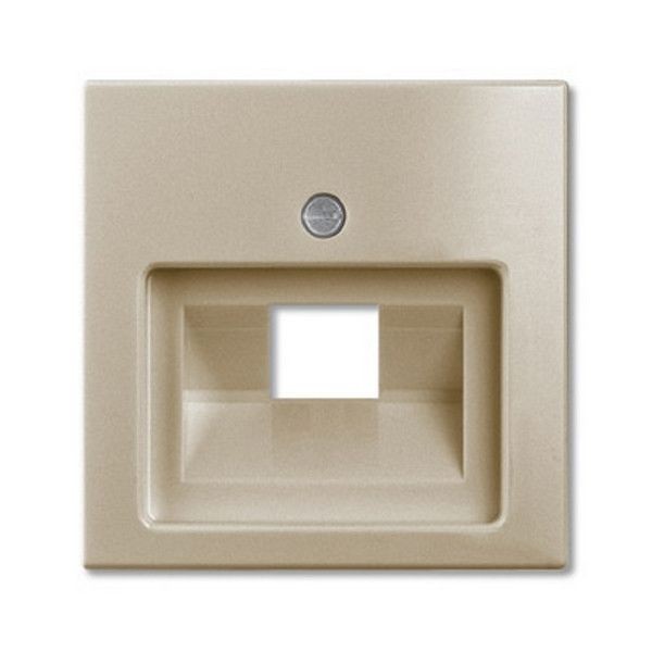 Накладка для компьютерной/телефонной розетки ABB Basic 55 1-я, наклонная, цвет шампань