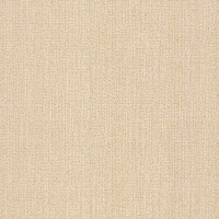 Обои виниловые Home Color бежевые 0.53 м 212-22