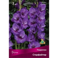 Гладиолус крупноцветковый Старфайтер луковица 12/14