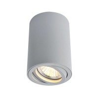 Светильник точечный накладной Arte Lamp Sentry A1560PL-1GY
