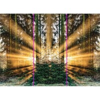 Фотообои WonderWall 281 386х280см