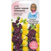 Мальва «Сорбет Чёрная смородина» 0.1 г