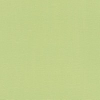 Обои флизелиновые Rasch Hyde Park зелёные 0.53 м 411829