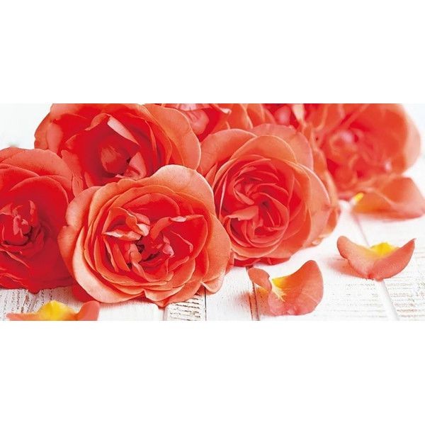 Фотообои Wallberry Decocode 13-0519-FY 250х130 см
