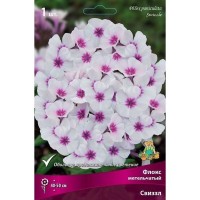 Флокс метельчатый Свиззл луковица I