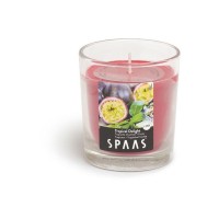 Декоративная свеча Spaas Тропический восторг 0500220006
