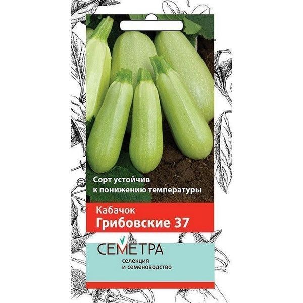 Семена Кабачок «Грибовские 37»