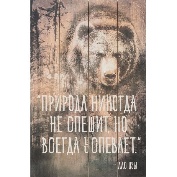 Картина на досках «Бор» 40x60 см