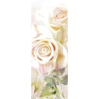 Фотообои Barton Wallpapers Цветы F03901 100х270 см