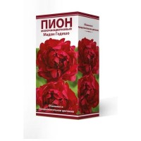 Пион травянистый Мадам Годишо луковица 2-3